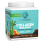 Vegan Collagen Protein Peptides Powder Chocolate Fudge 20 Servings (500g)